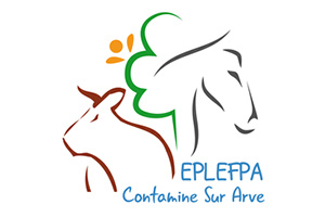 assoc-sportive-du-lycee